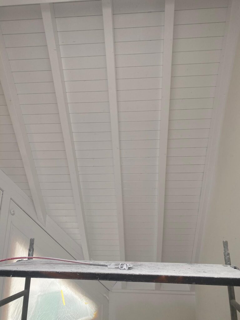 Maler Goni Malen Dach