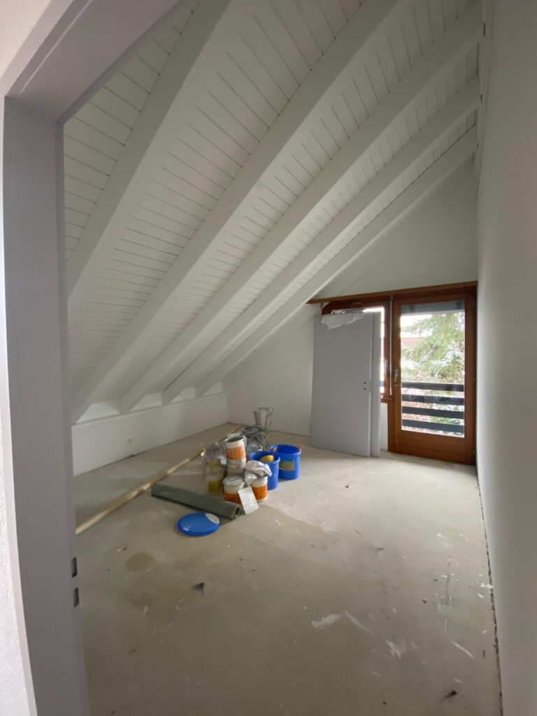 Maler Goni Dach Malen